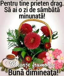 Imagini Buni Dimineata Si O Zi Frumoasa Pentru Tine Bunadimineataimagini Ro Donald