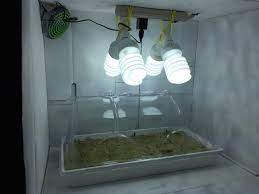 Due to the passive method of releasing nutrients, plants do not grow as fast as in other types of systems. Homemade Seedling Veg Grow Box And Seedling Growth Advice Grasscity Forums The 1 Marijuana Community Online