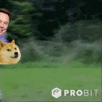 Musk says tesla suspending bitcoin use, citing environmental impact. Elon Musk Memes Gifs Get The Best Gif On Giphy