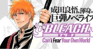 Bleach Can T Fear Your Own World Novels Go On Hiatus Http Www Animenewsnetwork Com News 2017 07 21 Bleach Cant Fear Your Own World Novel Bleach Novels Fear