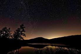 Check spelling or type a new query. Vom Sterben Und Vom Leben Carla M Huber Mensch Tier In Harmonie