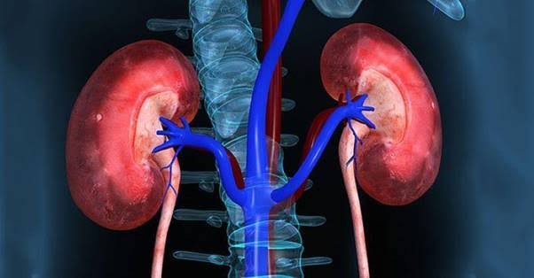 Suy giảm chức năng thận: Nguyên nhân và dấu hiệu nhận biết