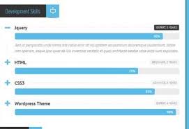 Displaying User Skills With Pie Chart In Percentage User