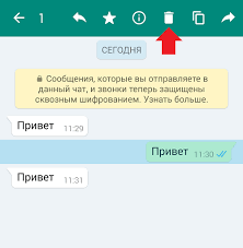 Kak Udalit Chat V Vatsape U Sobesednika 2021 God
