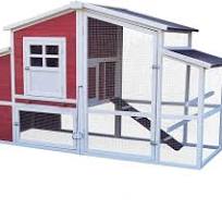 Amazon.com: Hanover Gallinero de madera elevado para ...