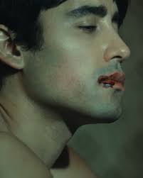 eveningelephants Chewing Cheeks visualizer is out now