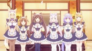 Maybe you would like to learn more about one of these? Funimation On Twitter Welcome To La Soleil Episode 1 Of Nekopara Is Now Available Subbed On Funimation Youshouldbewatching Nekopara Https T Co Gilgbuv6di Https T Co Ntine13lku