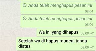 Khawatir riwayat chat yang sudah dihapus dihack pasangan? Cara Menghapus Pesan Wa Salah Kirim Android On Top