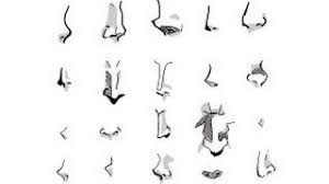 Draw the nose with it's bottom at the halfway mark between the horizontal halfway point of the head and the bottom of the chin. How To Draw A Anime Nose Step By Step Easy Drawing