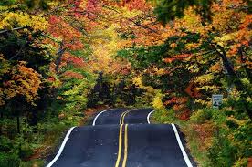 Flora John Wise Dreams Moments Travel Page 4 Northern Michigan Vacation Michigan Road Trip Tunnel Of Trees Michigan