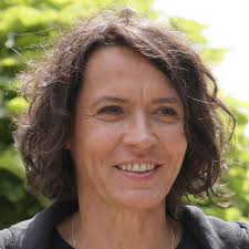 Watch Live TV, Movies, and TV Shows Free Online