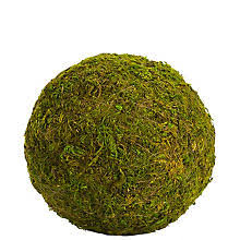 Aber wie handhabt man die vermehrung/verbreitung. Deko Moos Zum Basteln Kaufen Buttinette Bastelshop