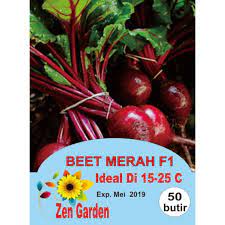 Karena warnanya yang merah keunguan yang kuat, selain untuk makanan, juga digunakan sebagai pewarna makanan dan pengobatan. Biji Benih Bibit Beetroot Bit Merah F1 Shopee Indonesia