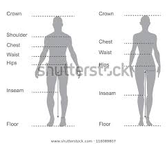 Size Chart Measurement Diagram Male Female Stock Vector