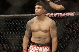 Image result for mir