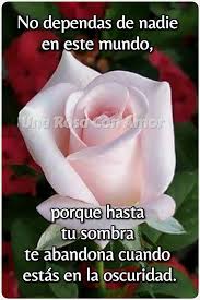 Una Rosa Con Amor | Facebook