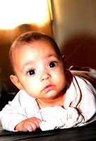 Stock Image Search Results