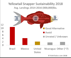 Yellowtail Snapper Fishchoice