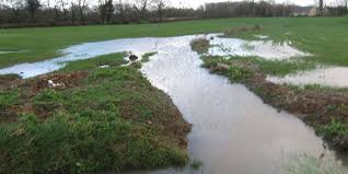 Pest control treatments are usually customized based on your needs. The Potential Of Water Reuse In Agriculture Fluence