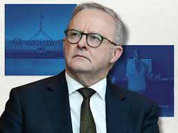 Rookie half cooks Chooks