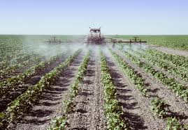 The seed treatments addressed in this guide consist of fungicides, fungicides in combination with insecticides or insecticides alone for use in managing pests. Busting Myths Why 25 Of All Pesticides Are Not Used On Cotton Materials Production News News
