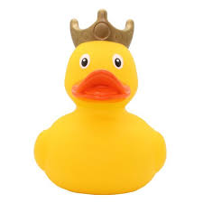 نتیجه جستجوی لغت [canard] در گوگل