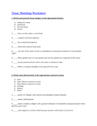 This coloring exercise is not intended to take very long and is mostly to help students gain an appreciation for the complexity of the matrix. Tissue Matching Worksheet Belle Vernon Area School District