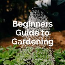 I invite you to subscribe to my free newsletter for exclusive tips on growing a healthy food garden. Beginners Guide To Gardening My Life Abundant