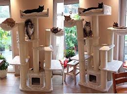 The cat tree maine coon fantasy cream is a dream of a cat tree which is very big and strong. Rhrquality Cat Tree For Large Cats Maine Coon Fantasy Beige Xxl Extra Big Breed Trees Scratch Post And Adult Towers Furniture Scratcher Activity Centre Buy Online In Saudi Arabia At Saudi Desertcart Com Productid