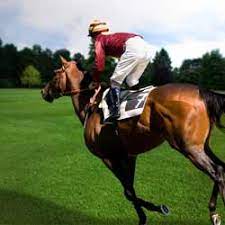 Horse Jockey Jobs How To Become A Jockey Schools Licenses Pay