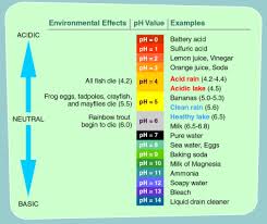 Acid Rain Students Site Ph Scale