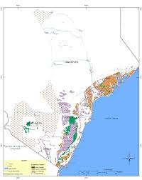 Image result for Landolphia kirkii