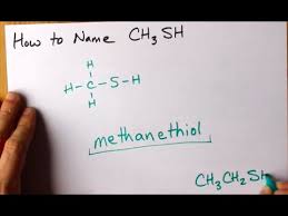 Image result for Methanethiol