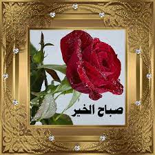 pin on صباح الخير
