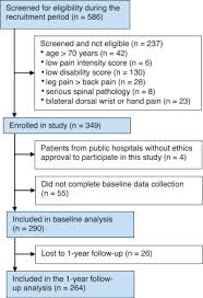 Image result for Start Back Screening Tool