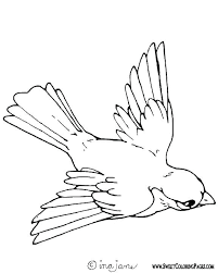 There are tons of great resources for free printable color pages online. Robin Flying Bird Coloring Pages Coloring Pages Printable Coloring Pages