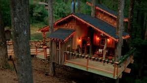 Nelson became excited about treehouses at the age of 5 when his dad built him a tree fort behind the garage of their ridgewood. The Untold Truth Of Treehouse Masters