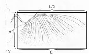 Batbot is a project wherein the researchers are attempting to mimic the biological structure of a bat wing for flight. Proposed Control For Wing Movement Type Flat Plate For Ornithopter Autonomous Robot Springerlink