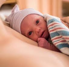 Lillian Rose's Instagram, Twitter & Facebook