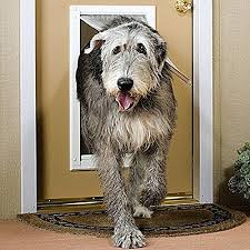 Endura flap, san luis obispo, california. Endura Flap Pet Door Double Flap Best Extra Insulated All Weather Energy Efficient Dog Door Small