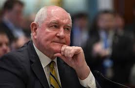 TFS middle school honor roll