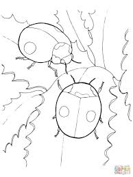 Ladybug coloring page ladybug coloring page a common myth, totally unfounded, is that the number of spots on the back of the insect indicates its age. 30 Exclusive Picture Of Ladybug Coloring Page Albanysinsanity Com Ladybug Coloring Page Coloring Pages Bird Coloring Pages