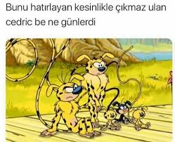 Selin Su Dayanc Adli Kullanicinin Beyin Panosundaki Pin