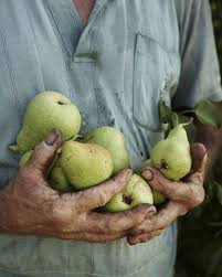Pin By Danielle On Pear Orchard Country Life Farm Life Food Photography Inspiration