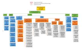 Organizational Chart Obstetrics And Gynecology Mcgill