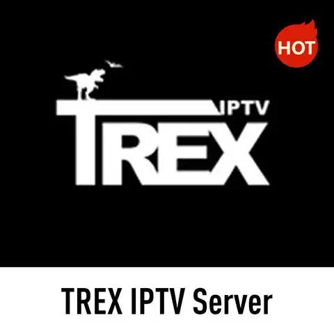 Trex IPTV server Setup Guide 2025: How to Unlock More? | StreamIPTV Blog