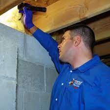 Pests can invade your premises at any moment, causing damage and a lot of stress. Viking Pest Control