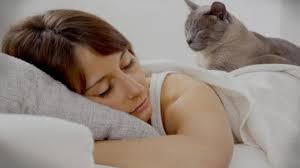 Check spelling or type a new query. 5 Bahaya Bulu Kucing Bagi Wanita Dan Kesehatan Tubuh Klubwanita Com