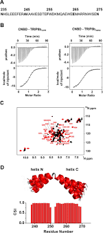 Program auchan 15 august 2018. A Synthetic Peptide That Prevents Camp Regulation In Mammalian Hyperpolarization Activated Cyclic Nucleotide Gated Hcn Channels Elife