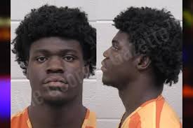 Theresa Mincey https://thegeorgiagazette.com/paulding/theresa-mincey-2/